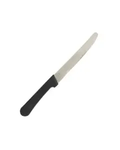 4 INCH ROUND TIP STEAK KNIFE WITH PLASTIC HANDLE