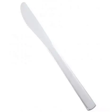 (24) WINDSOR DINNER KNIFES